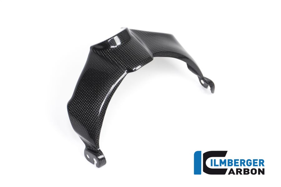 Ilmberger Carbon Lampenabdeckung glanz