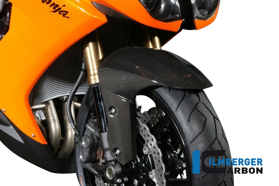 Ilmberger Carbon Kotflügel vorne, Carbon