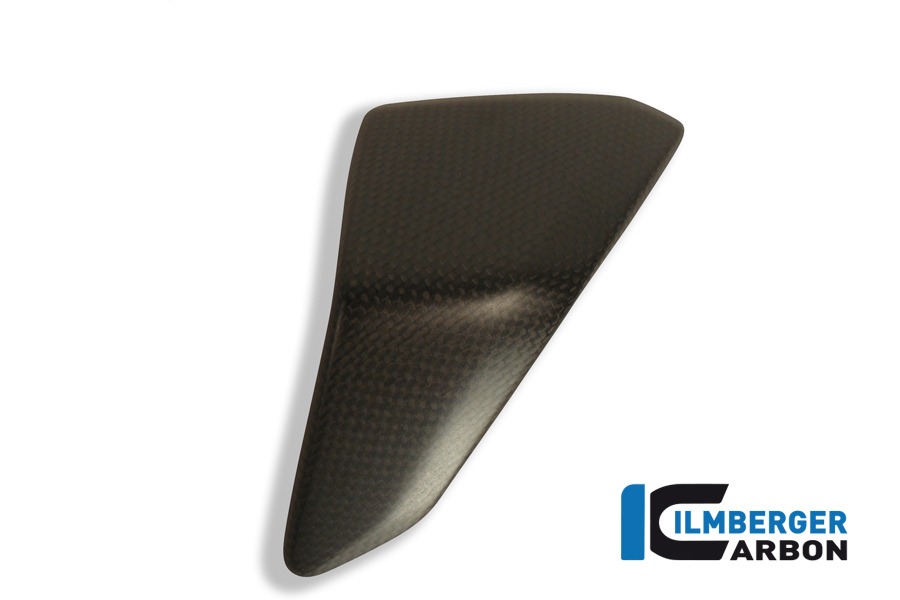 Ilmberger Carbon Seitenverkleidungseinsatz links, Carbon