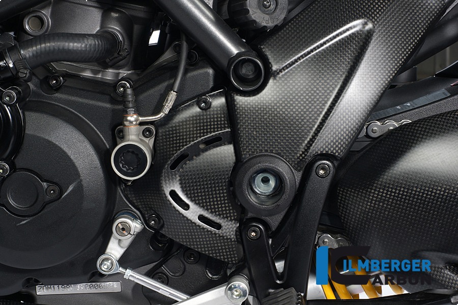 Ilmberger Carbon Ritzelabdeckung, Carbon
