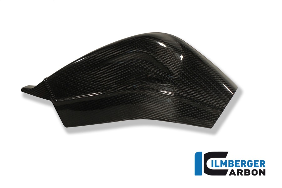 Ilmberger Carbon Schwingenabdeckung rechts und links, Carbon