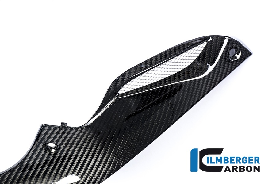 Ilmberger Carbon Seitendeckel rechts am Tank Racing, Carbon