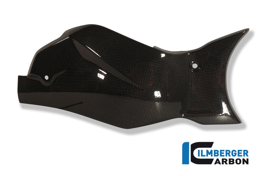 Ilmberger Carbon Schwingenabdeckung / Kettenschutz, Carbon