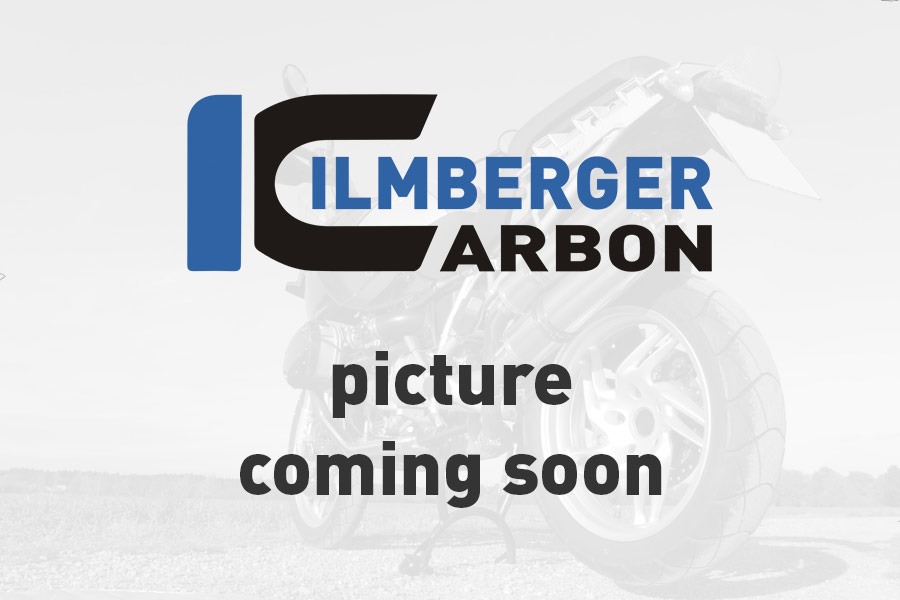 Ilmberger Carbon Oberer Kennzeichenträger glanz