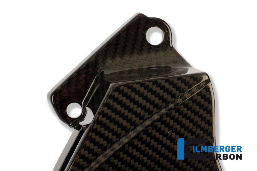 Ilmberger Carbon Ritzelabdeckung aus, Carbon