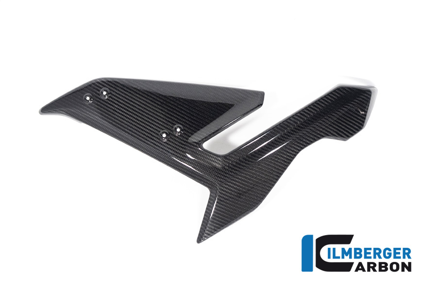 Ilmberger Carbon Verkleidungsseitenteil links, glänzend, BMW S1000R 2021-