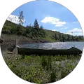 user_profile