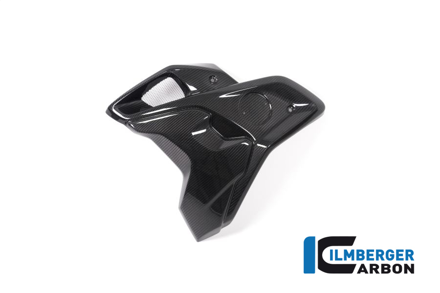Windkanal links incl. Flap (2 tlg.) für BMW R 1250 GS ab 2019 