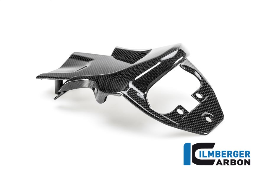Ilmberger Carbon Kennzeichenträger glanz