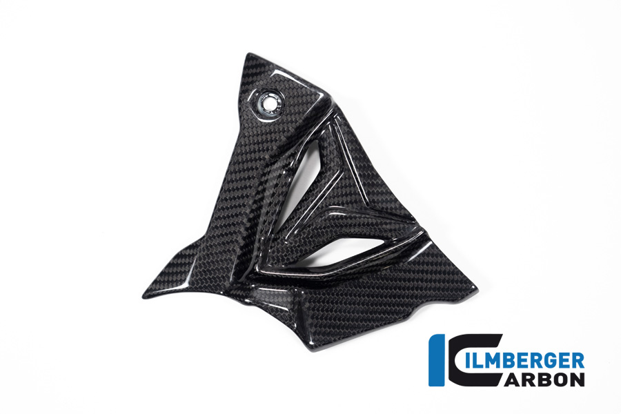 Ilmberger Carbon Ritzelabdeckung, glänzend, BMW S1000XR 2020- und M1000XR, 2X99, 2024