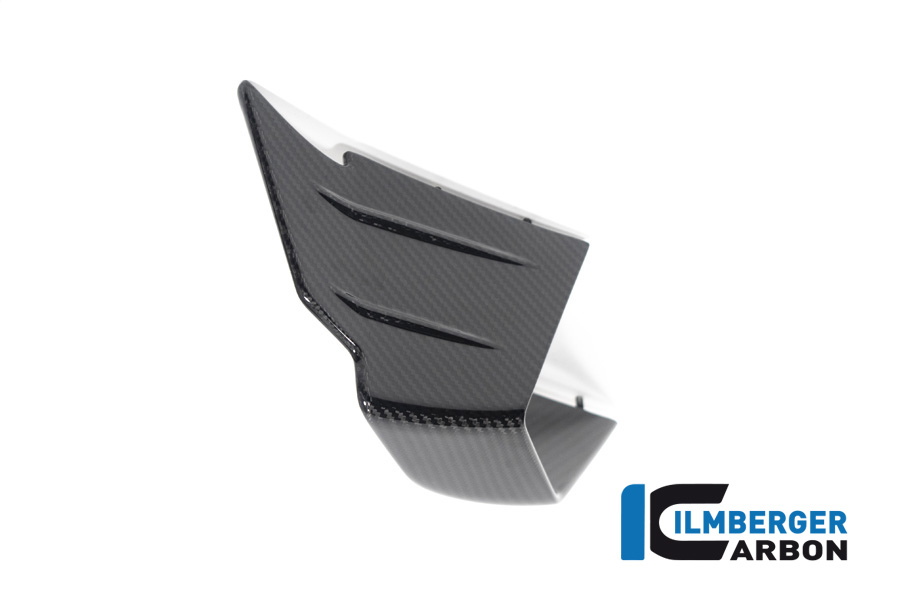 Verkleidungswinglet links aus Carbon für BMW M1000RR ab Modelljahr 2020-