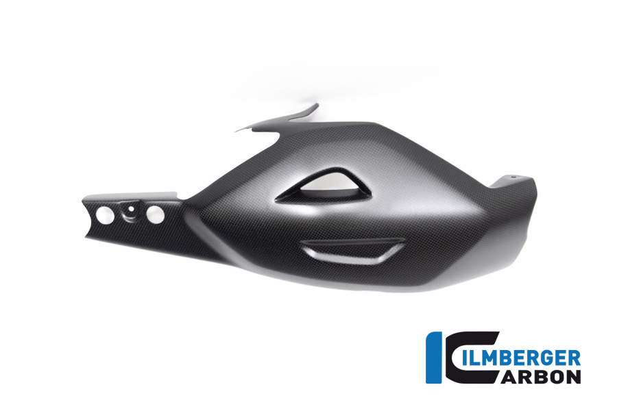 Ilmberger Carbon Schwingenschutz, matt, Ducati Diavel V4 , 2023-
