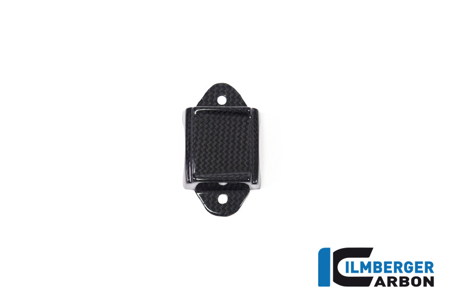 Ilmberger Carbon Instrumenteabdeckung glanz Panigale V4/ V4 S/V4 R