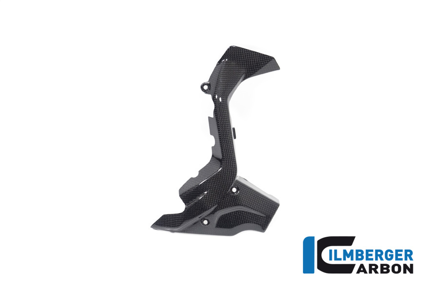Ilmberger Carbon Ritzelabdeckung, glänzend, Ducati Diavel V4 , 2023-