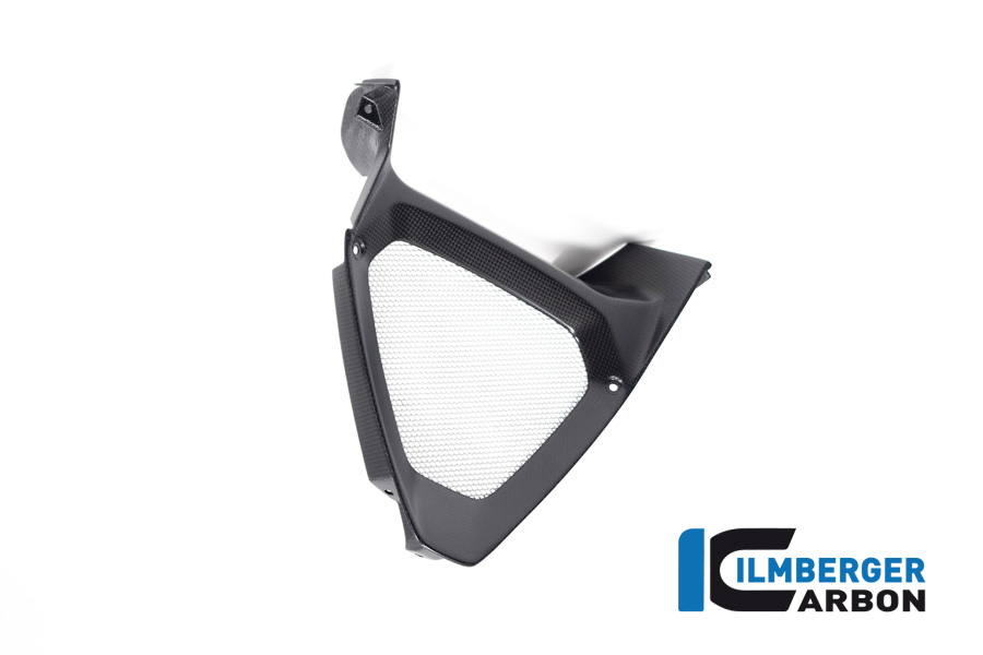 Ilmberger Carbon Motorspoilermittelteil / Ölkühlereinlass, matt, Ducati Diavel 1260 , 2019-