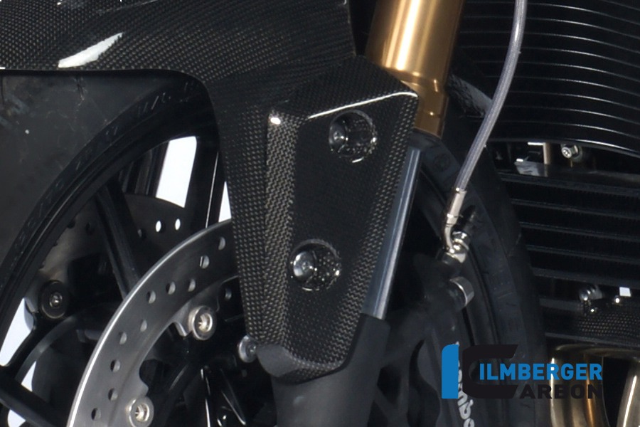 Ilmberger Carbon Flap am Kotflügel vorne links, Carbon