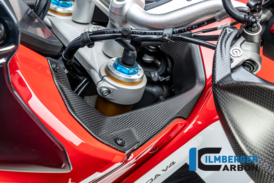 Ilmberger Carbon Abdeckung links neben dem Cockpit, matt, Ducati Multistrada V4 2020-