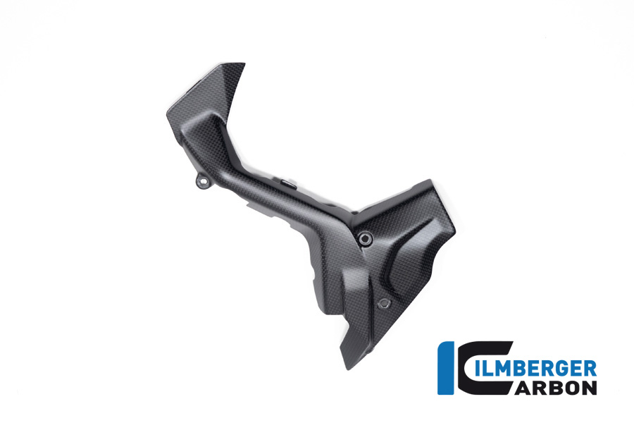 Ilmberger Carbon Ritzelabdeckung, matt, Ducati Diavel V4 , 2023-