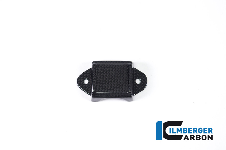Ilmberger Carbon Instrumenteabdeckung glanz Panigale V4/ V4 S/V4 R