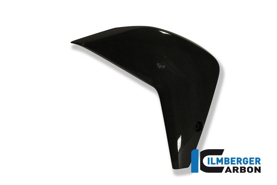 Ilmberger Carbon Verkleidungsflap links, Carbon