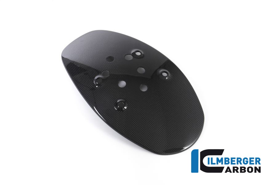 Ilmberger Carbon Spritzschutz hinten glanz