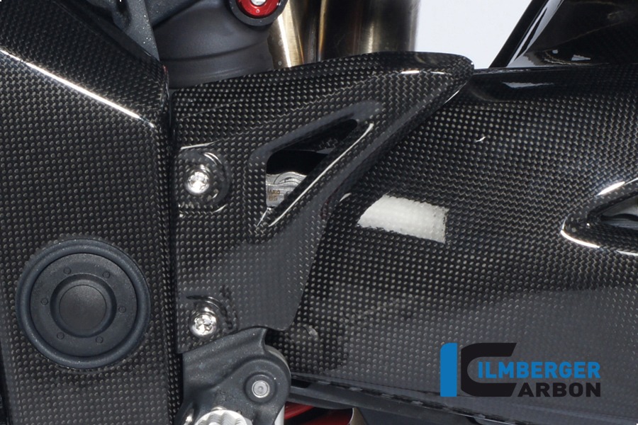 Ilmberger Carbon Fersenschutz links, Carbon