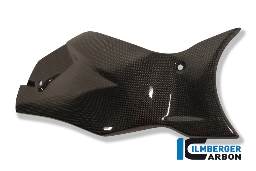Ilmberger Carbon Schwingenabdeckung / Kettenschutz, Carbon