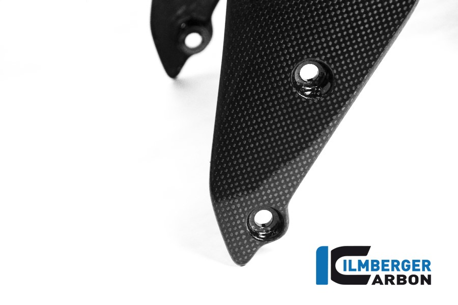 Ilmberger Carbon Kotflügel vorne glanz