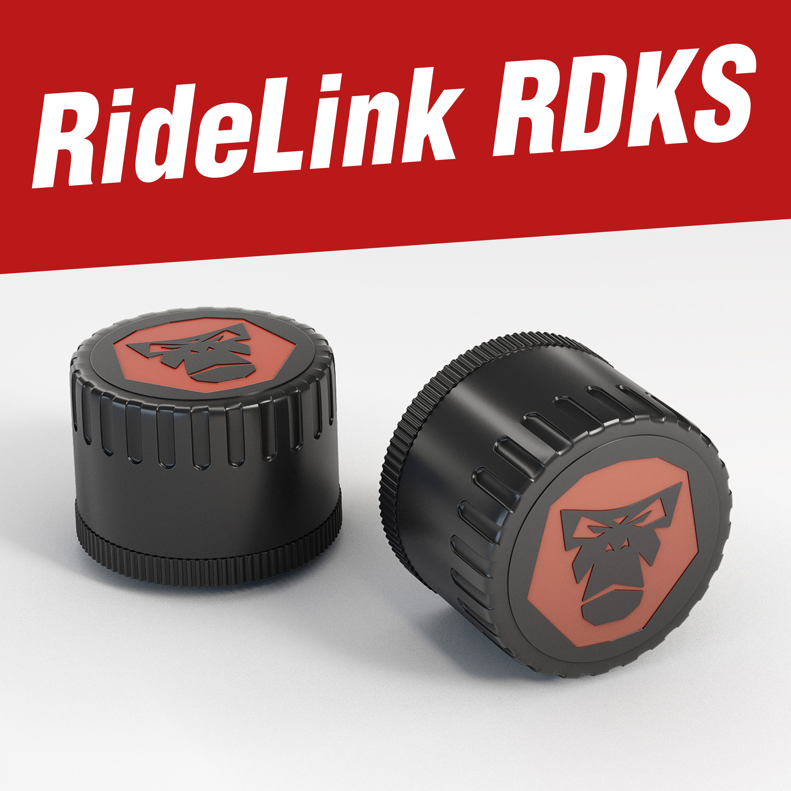 RideLink RDKS Bluetooth-Reifendruckkontrollsystem für Motorrad