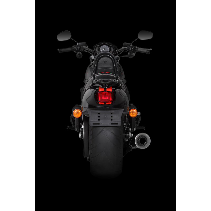 Akrapovic Open Line 10th A.E. Auspuffanlage für Harley-Davidson V-Rod VRSCDX 2012, V-Rod VRSCDX Night Rod 2009-2016, V-Rod VRSCF Muscle 2009-2016