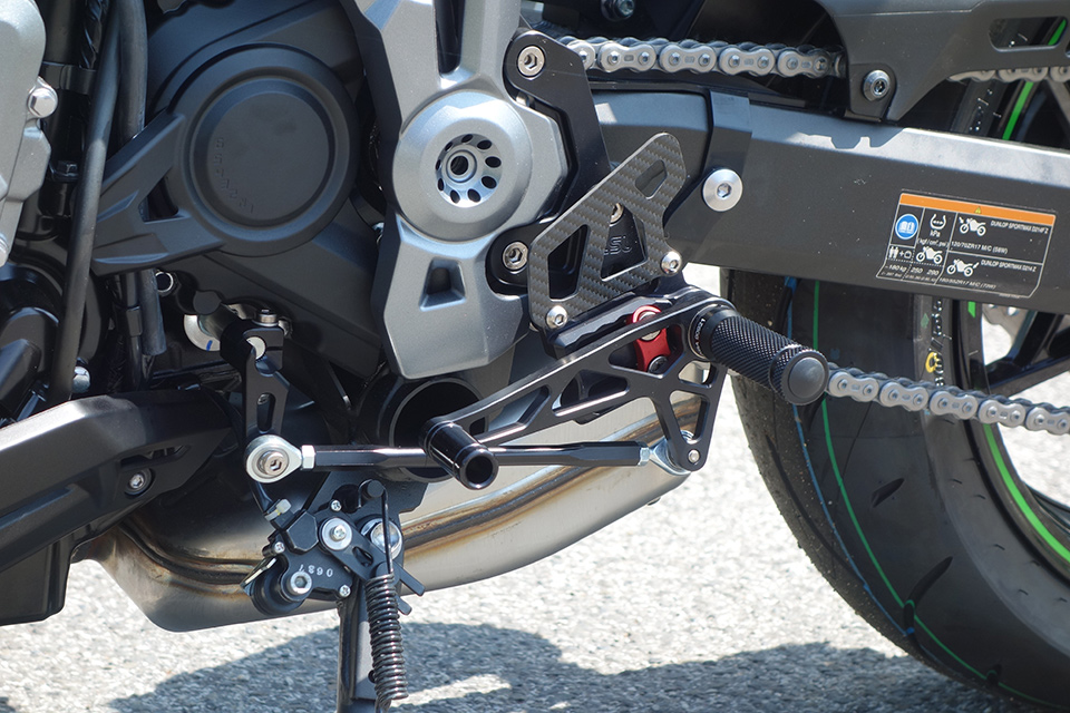 LSL 2Slide Rastenanlage für Kawasaki Z900, 2017-2019, schwarz-rot