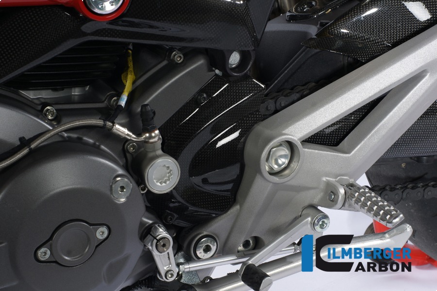 Ilmberger Carbon Ritzelabdeckung, Carbon