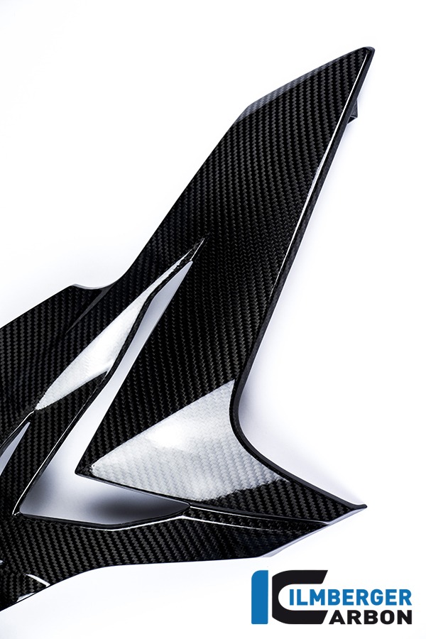 Ilmberger Carbon Verkleidungsseitenteil rechts, Carbon