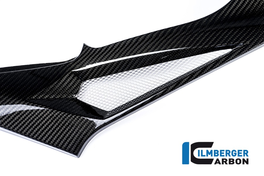 Ilmberger Carbon Seitendeckel rechts am Tank Racing, Carbon