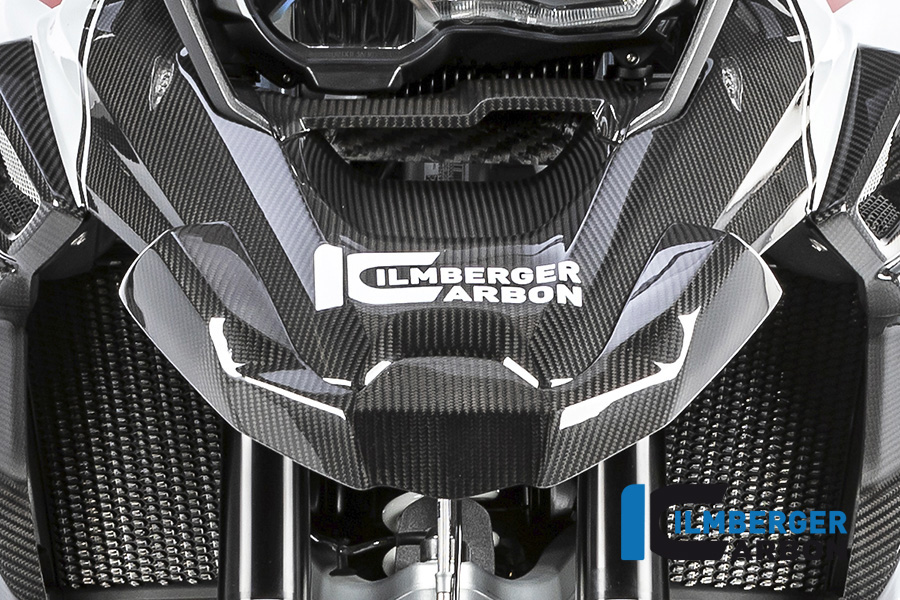 Schnabelverlängerung vorne Carbon für BMW R 1250 GS ab 2019 