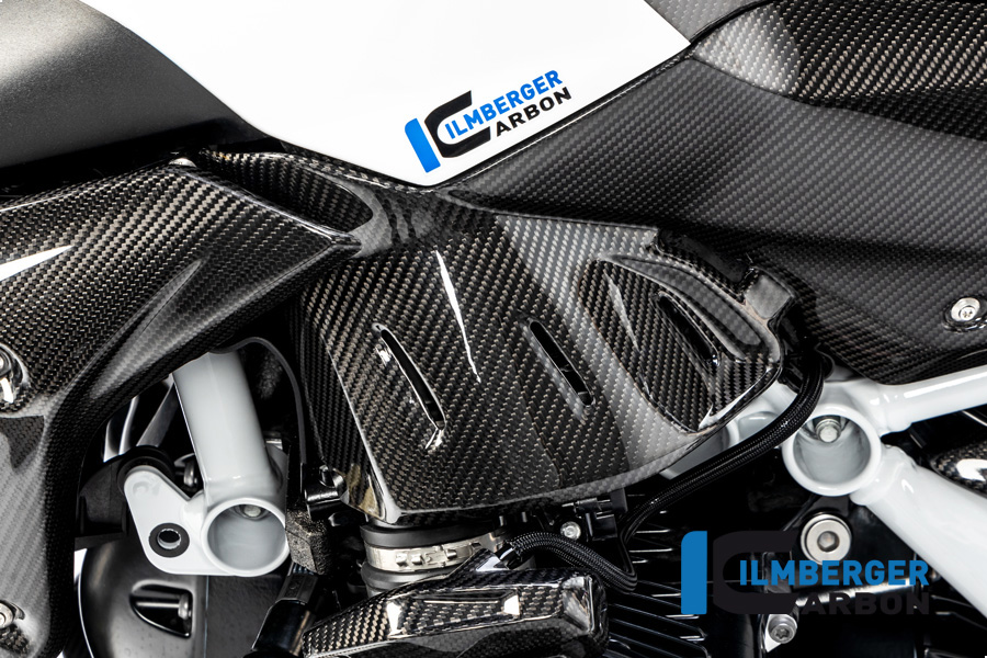 Seitendeckel unterm Tank links Carbon für BMW R 1250 R (LC) 2019