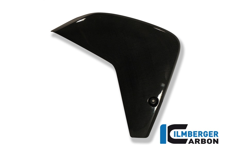 Ilmberger Carbon Verkleidungsflap links, Carbon