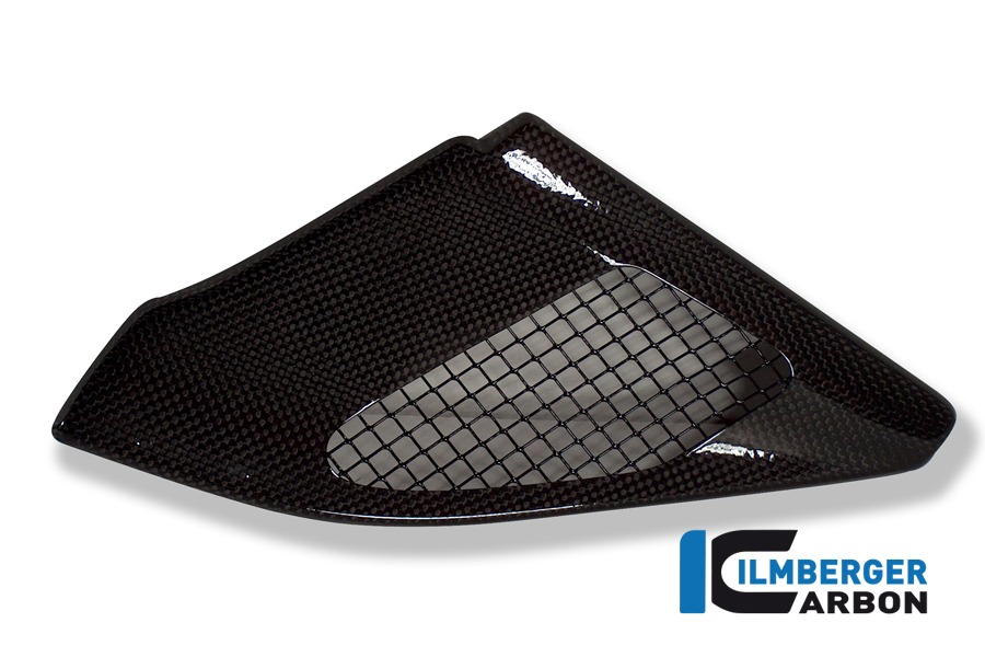 Ilmberger Carbon Ansaugrohrabdeckung, Carbon