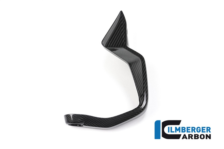 Ilmberger Carbon Handprotektoren rechts BMW S1000XR 2015- M1000XR 2024-