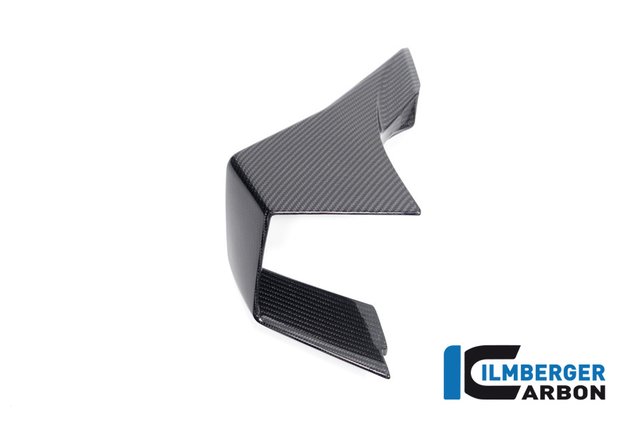Ilmberger Carbon Winglet links, glänzend, BMW M1000RR 2023-