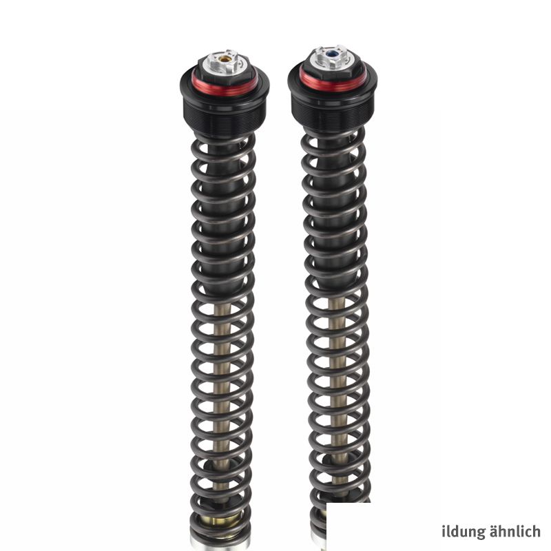 BITUBO JBH Gabeldämpfer-Kit für Ducati Multistrada 1200 ABS/Touring 2015-
