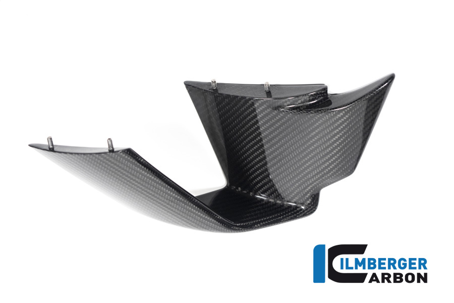 Verkleidungswinglet links aus Carbon für BMW M1000RR ab Modelljahr 2020-