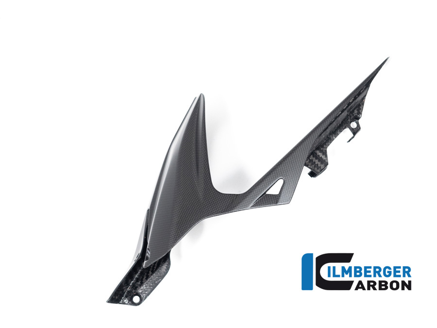Ilmberger Carbon Kotflügel hinten, matt, Ducati Diavel V4 , 2023-