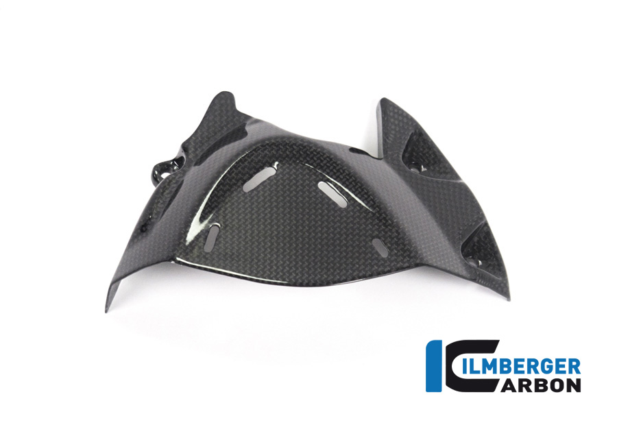 Ilmberger Carbon Ritzelabdeckung , glänzend Ducati Monster 1200, 1200S 2017-