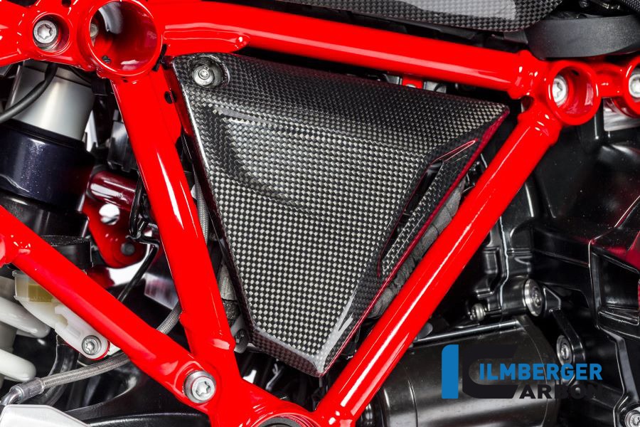 Ilmberger Carbon Rahmendreieckcover rechts , Carbon