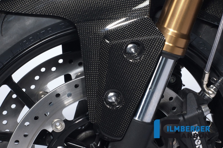 Ilmberger Carbon Flap am Kotflügel vorne links, Carbon