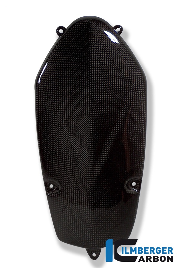 Ilmberger Carbon Lichtmaschinendeckel, Carbon