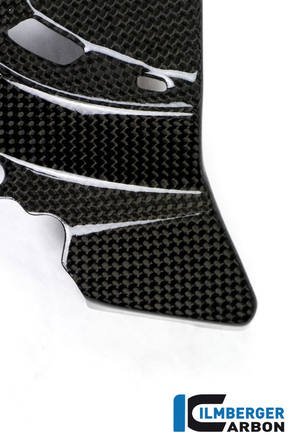 Ilmberger Carbon Ritzelabdeckung glanz