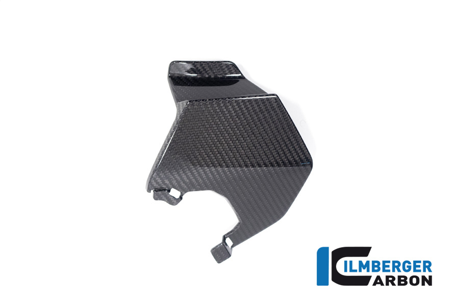 Ilmberger Carbon Oberer Winglet links BMW M1000XR, S1000XR, ab 2024-