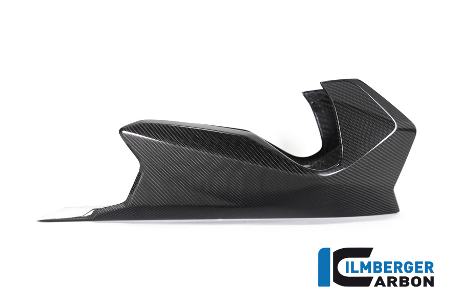 Ilmberger Carbon Motorspoiler Carbon BMW R1250R R1250RS 2019-